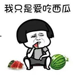 吃一口娱乐瓜